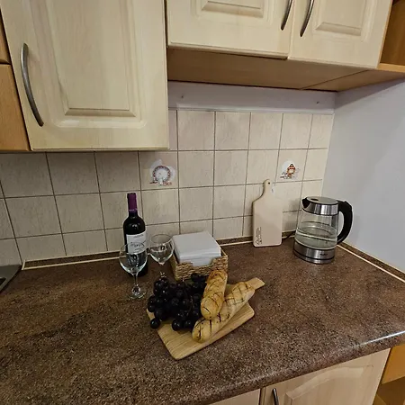Mieszkanie Czestochowska 9 Apartment *
