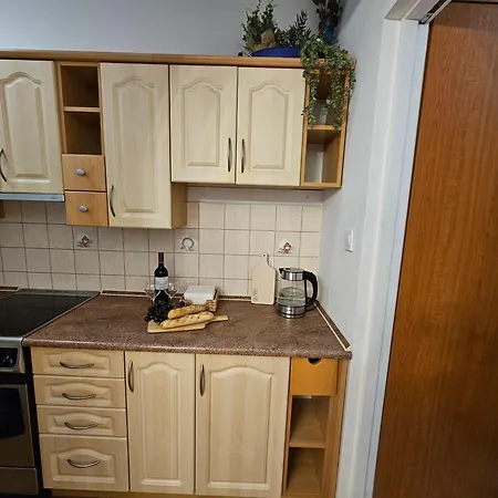 Apartmán Mieszkanie Czestochowska 9 *