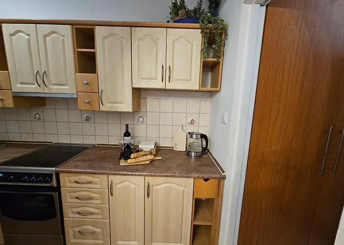 Apartamento Mieszkanie Czestochowska 9 *