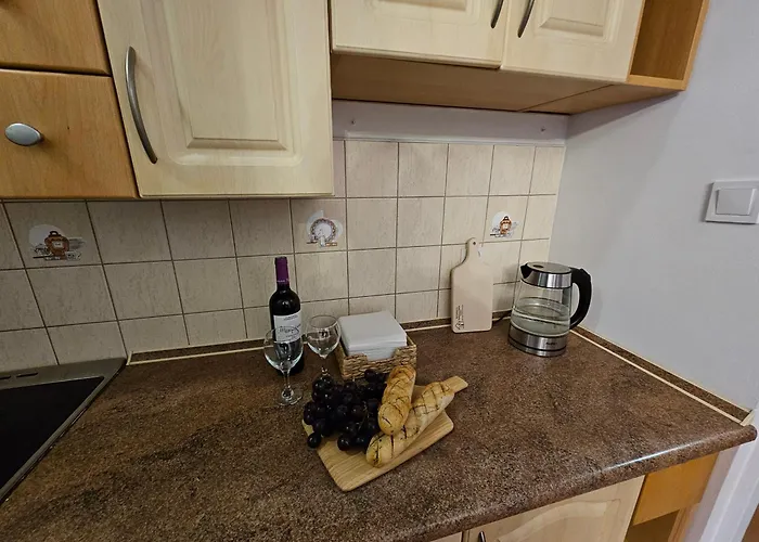 Mieszkanie Czestochowska 9 Apartamento *